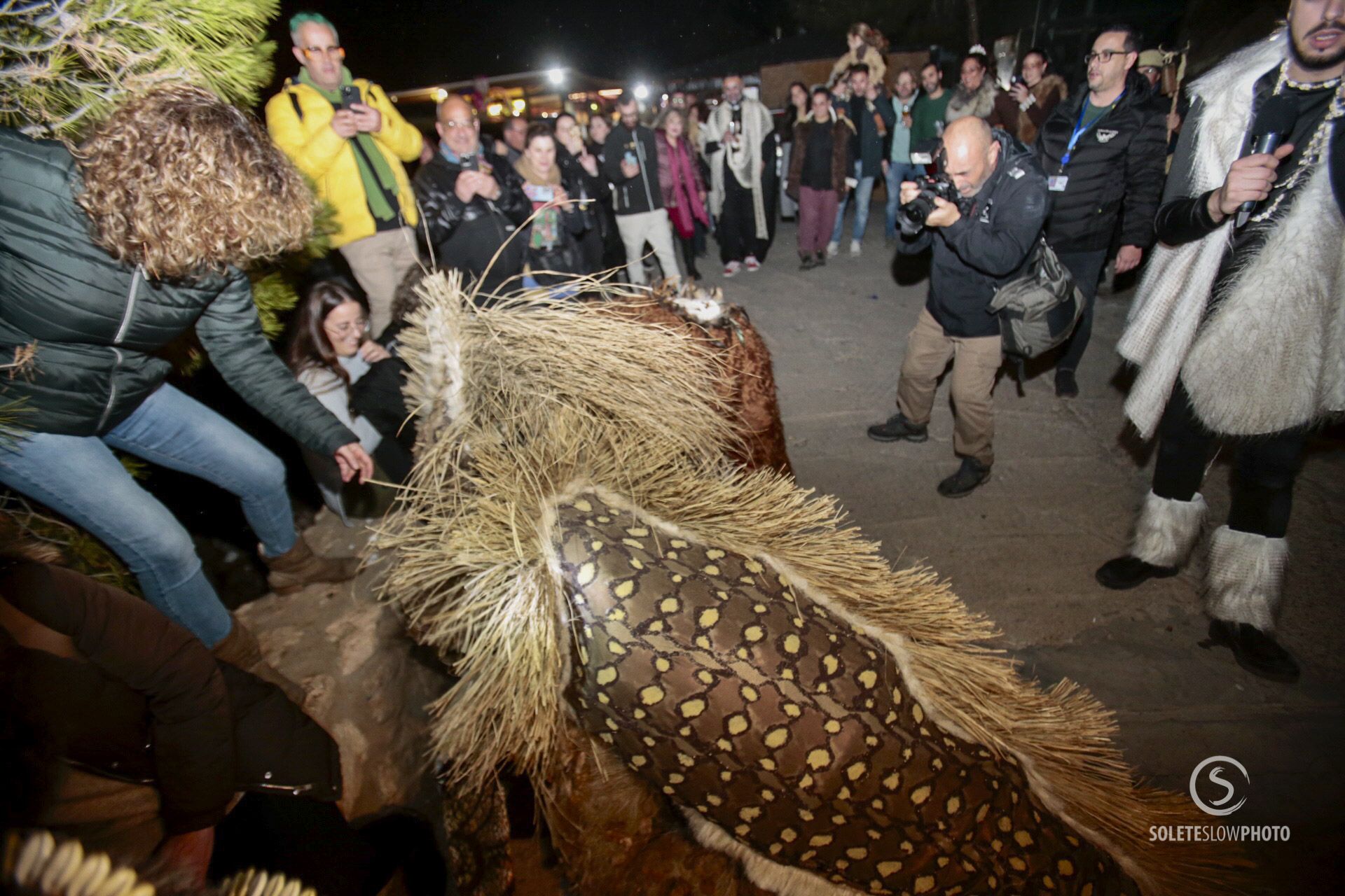 Las imágenes de la Suelta de la Mussona 2024 del Carnaval de Águilas