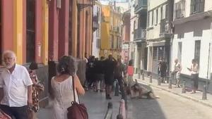 Vídeo | Pelea en los Corralones de la calle Castelar