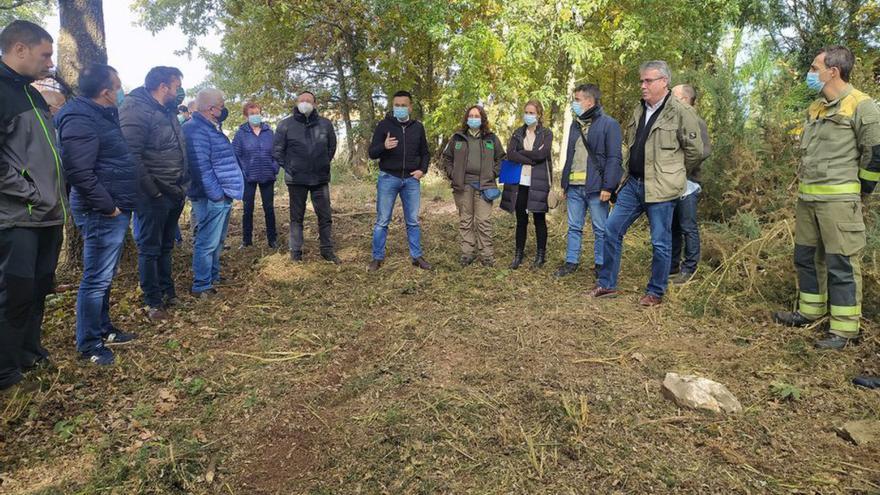 La Xunta limpia 100 hectáreas de biomasa forestal en Cualedro y Monterrei, y cobrará a los dueños