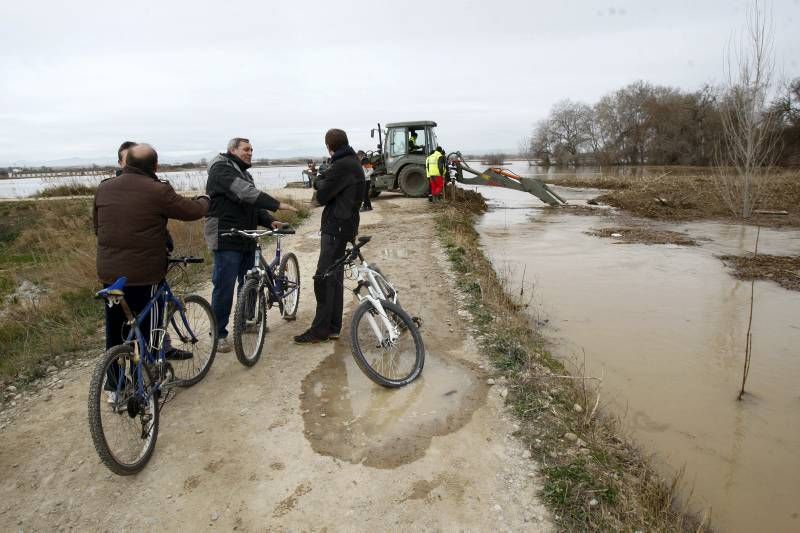 Fotogalería de la crecida del Ebro