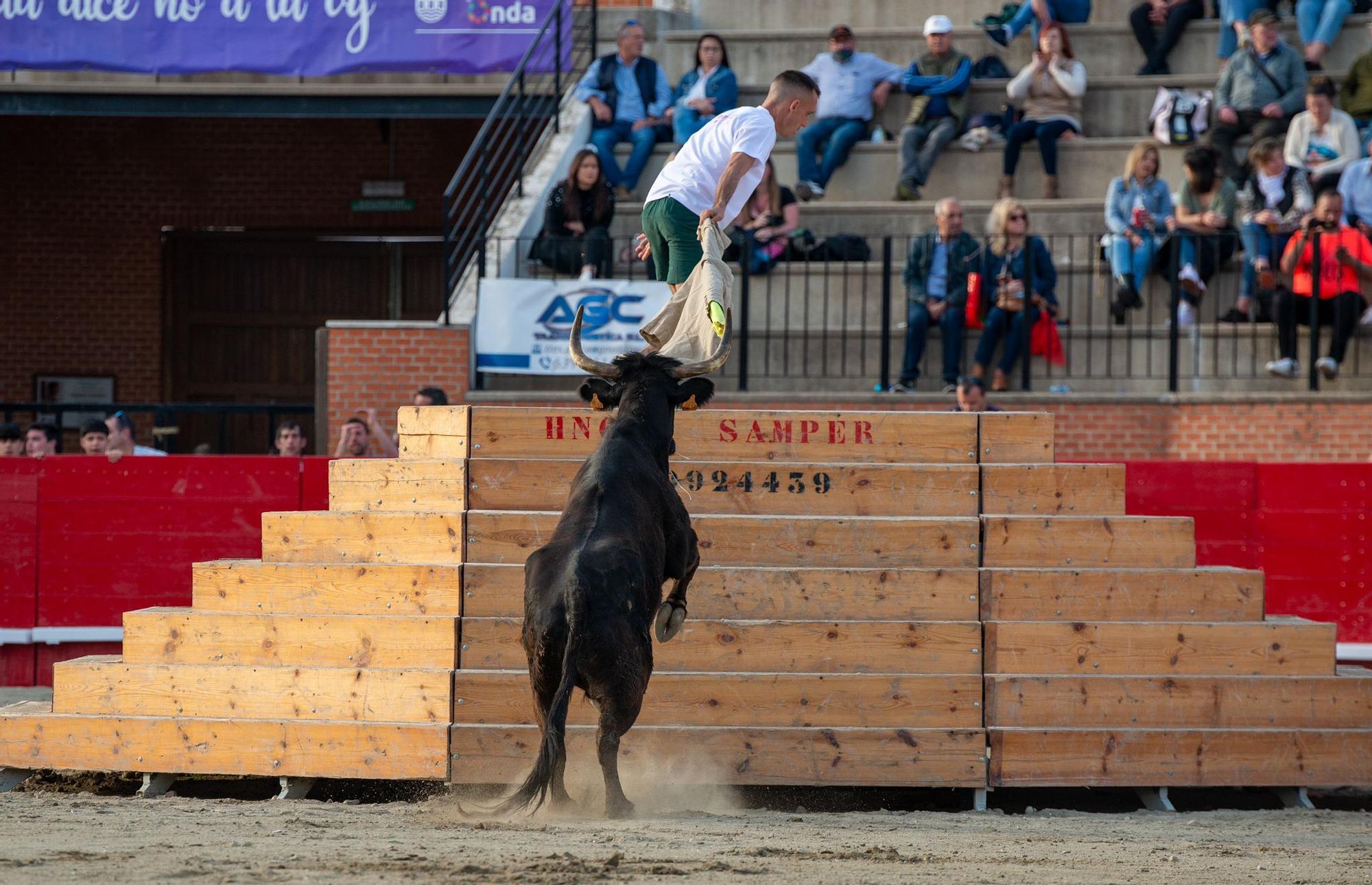 Primera jornada del concurso de ganaderías de la Pascua Taurina de Onda