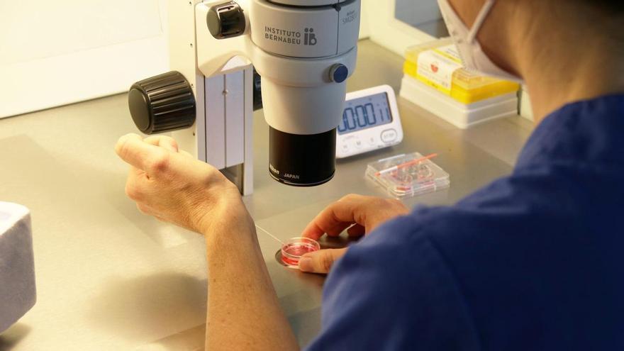 De Alicante al mundo: 40 años liderando la revolución de la medicina reproductiva