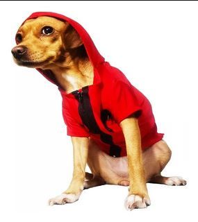 Halloween | Los 20 disfraces para perros más tiernos de internet