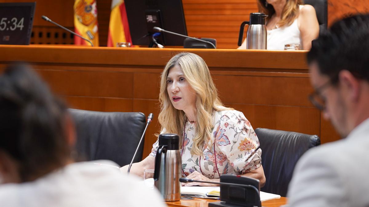Mar Vaquero, vicepresidenta del Gobierno y consejera de Presidencia, Justicia, Cultura y Deporte.