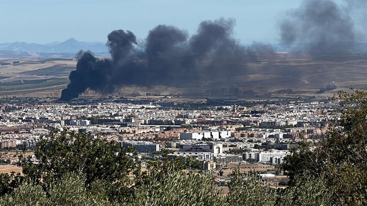 Vista de la columna de humo desde la urbanización de la Albaida.