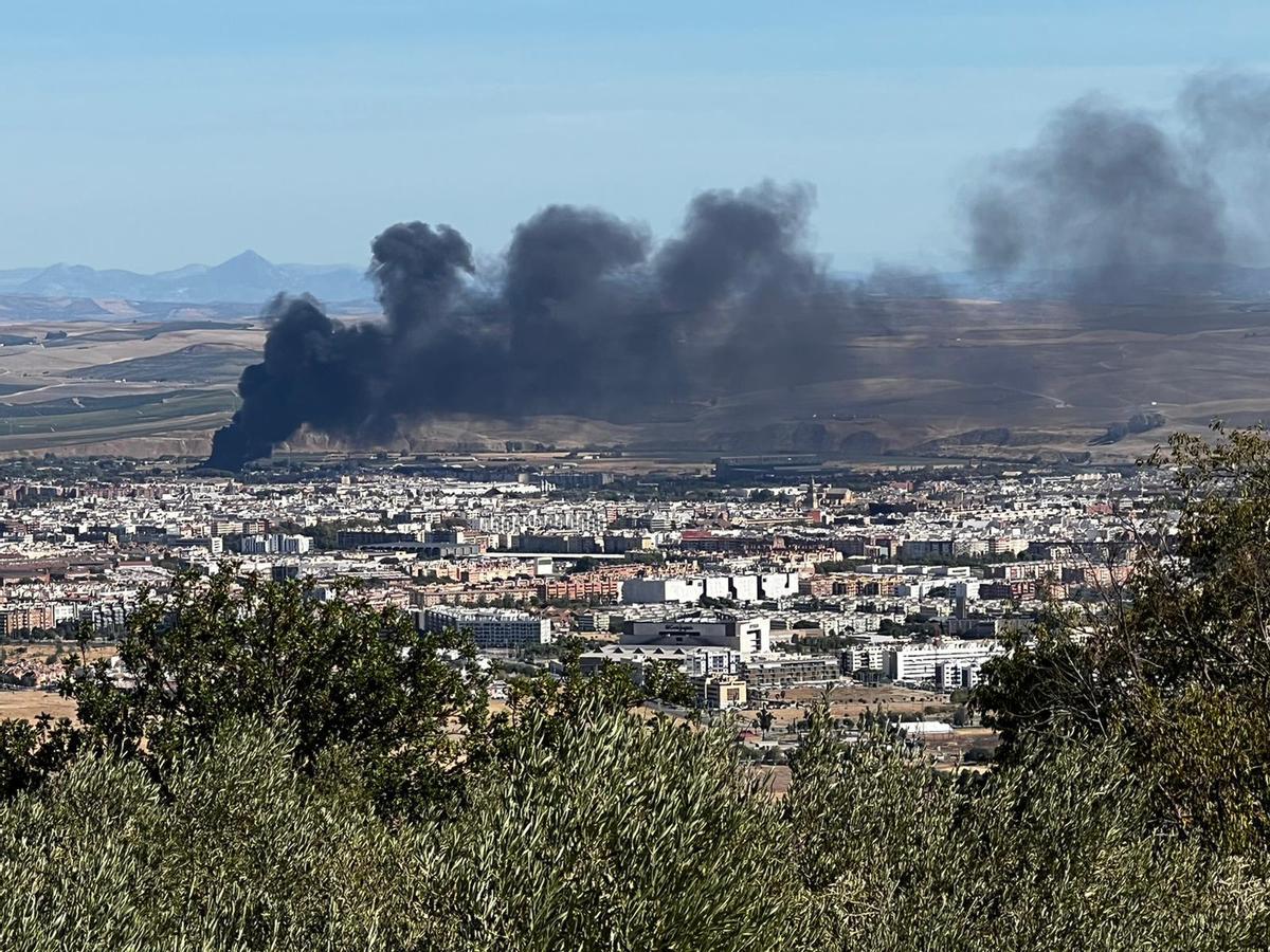 Vista de la columna de humo desde la urbanización de la Albaida.