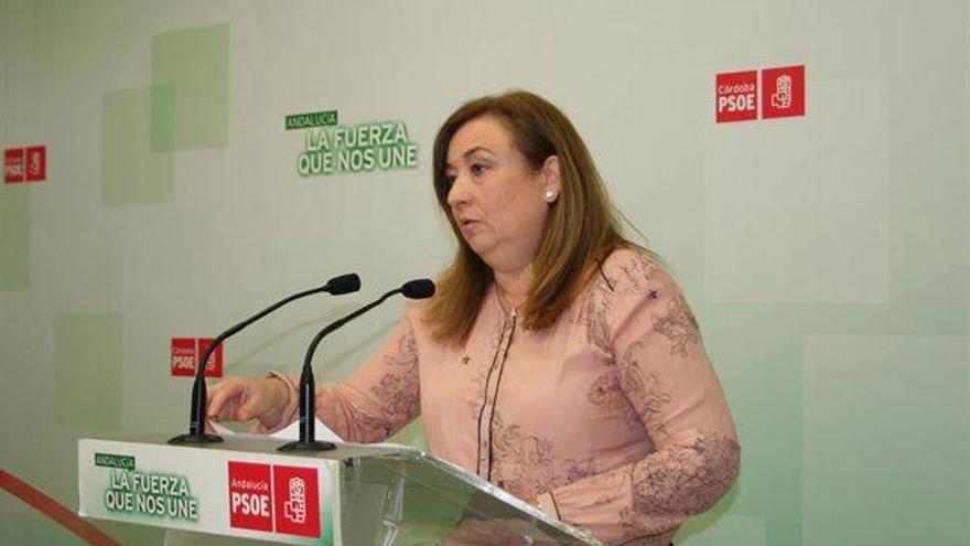 El PSOE-A dice que hay 65.000 dependientes andaluces para los que no hay financiación