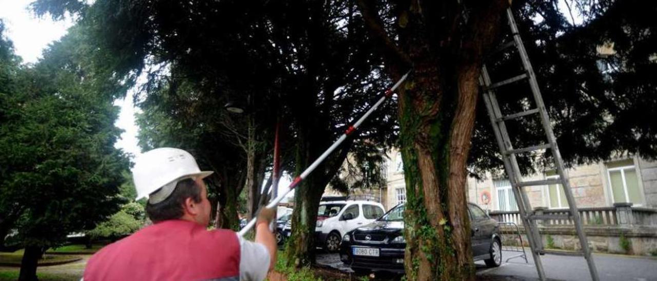 Un operario municipal, realizando ayer trabajos de mantenimiento en el parque Fleming. // Iñaki Abella