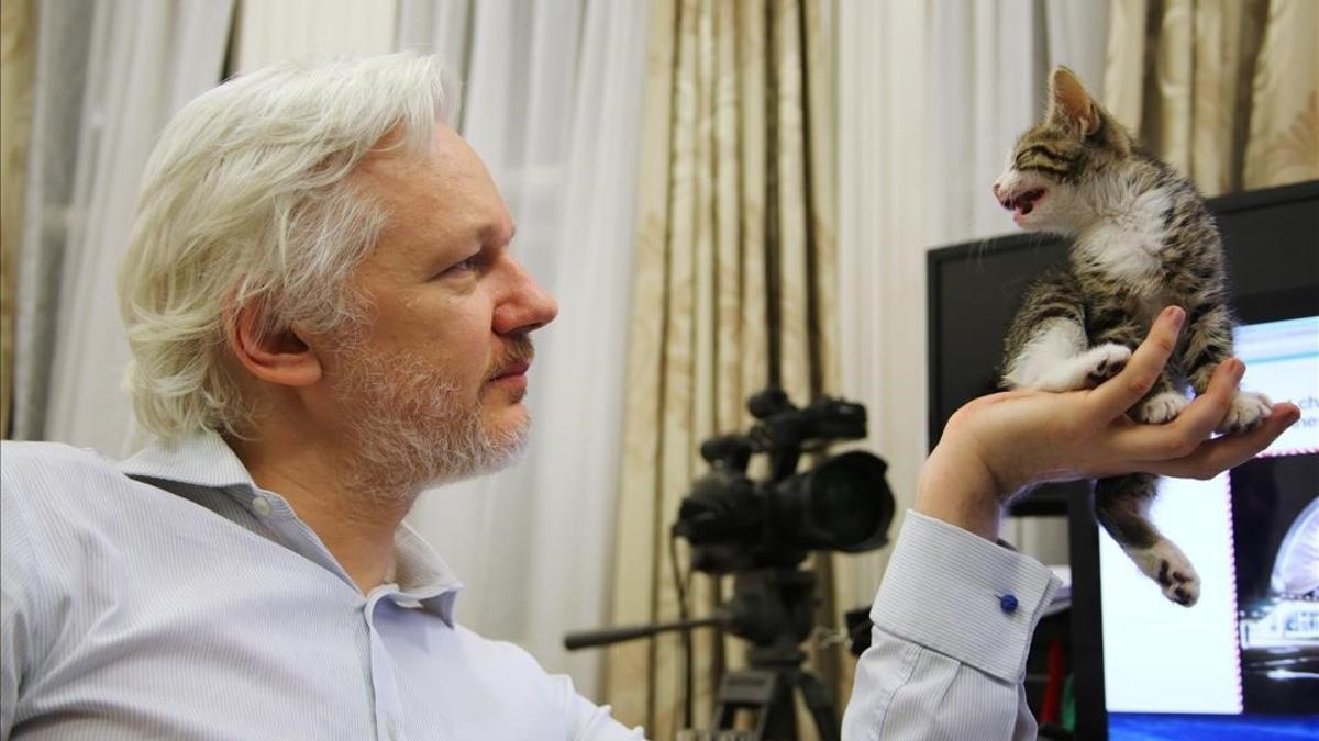 El fundador de WikiLeaks, Julian Assange, sostiene su nuevo gatito en la Embajada ecuatoriana en el centro de Londres.
