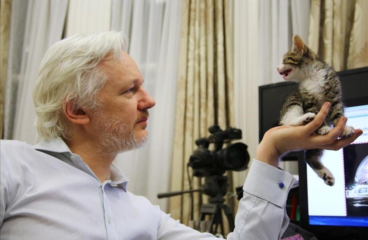 El fundador de WikiLeaks, Julian Assange, sosté el seu nou gatet a l’ambaixada equatoriana al centre de Londres.