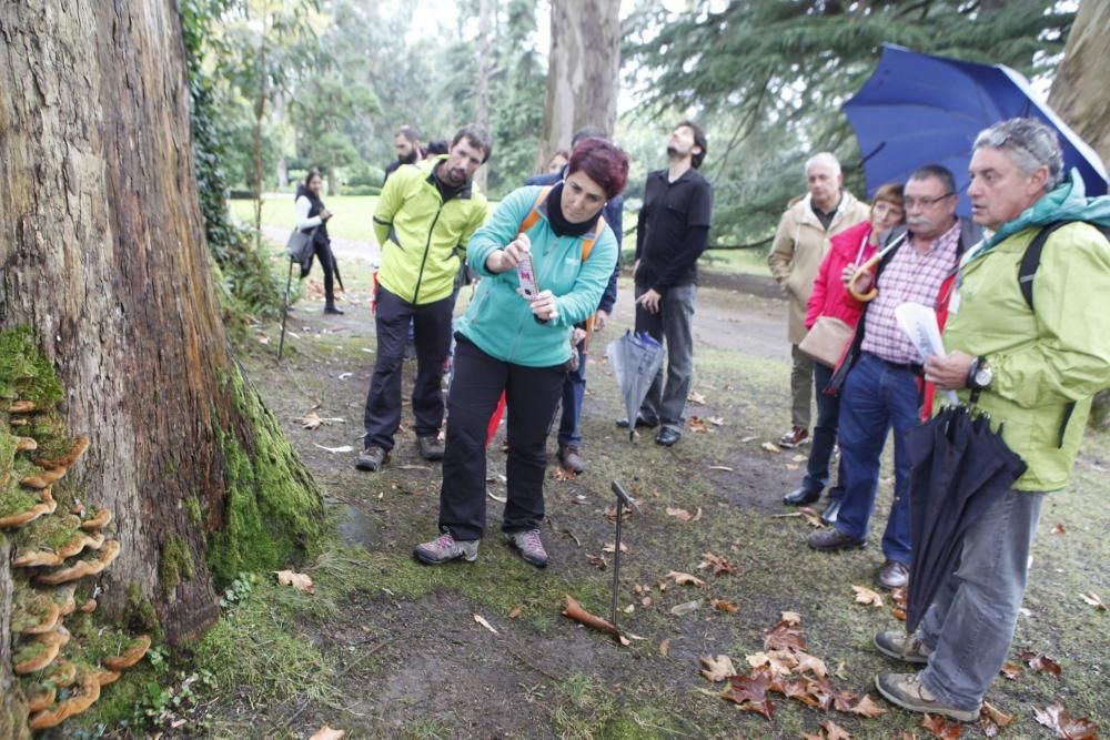 Recorrido micológico por el Jardín Botánico Atlántico