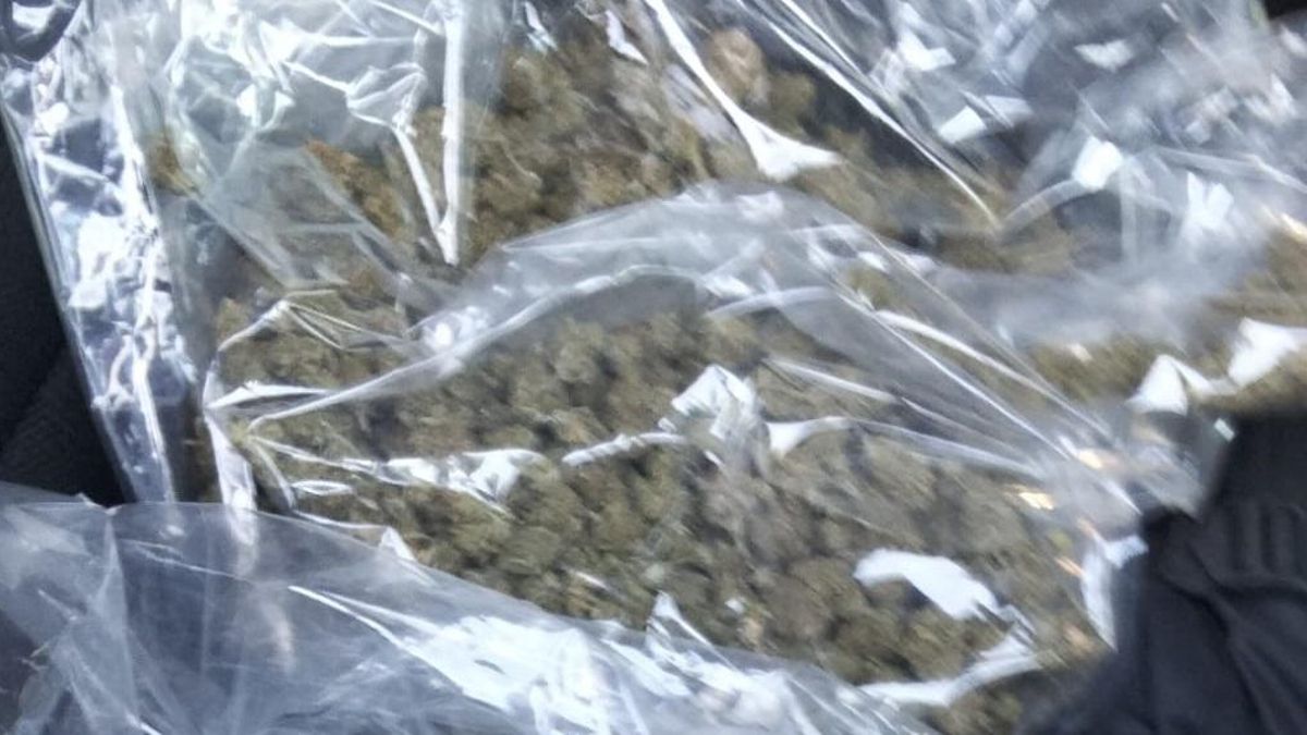 Detalle de una de las bolsas con cogollos de cannabis encontradas en el coche.