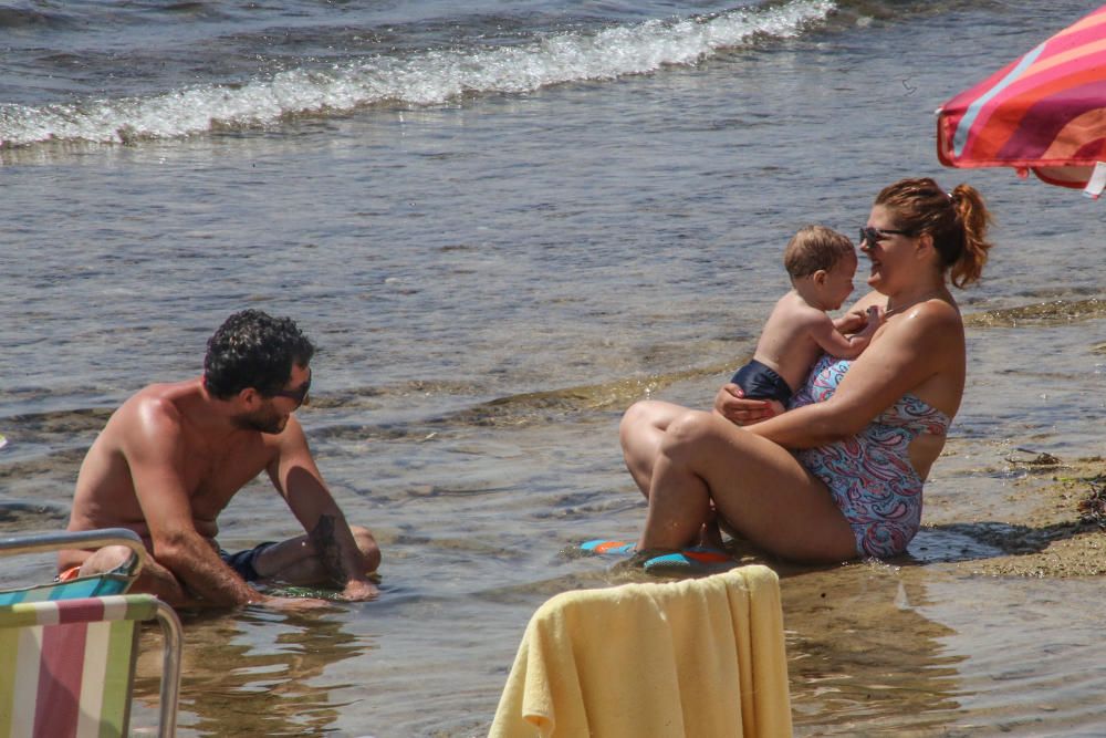 Los bañistas aseguran que no están en contra de la medida pero reclaman que se zonifique la playa para usuarios con perros y sin perros