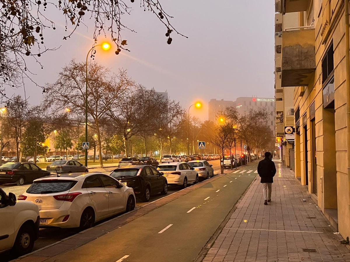 Así amanece Sevilla bajo la niebla, en imágenes
