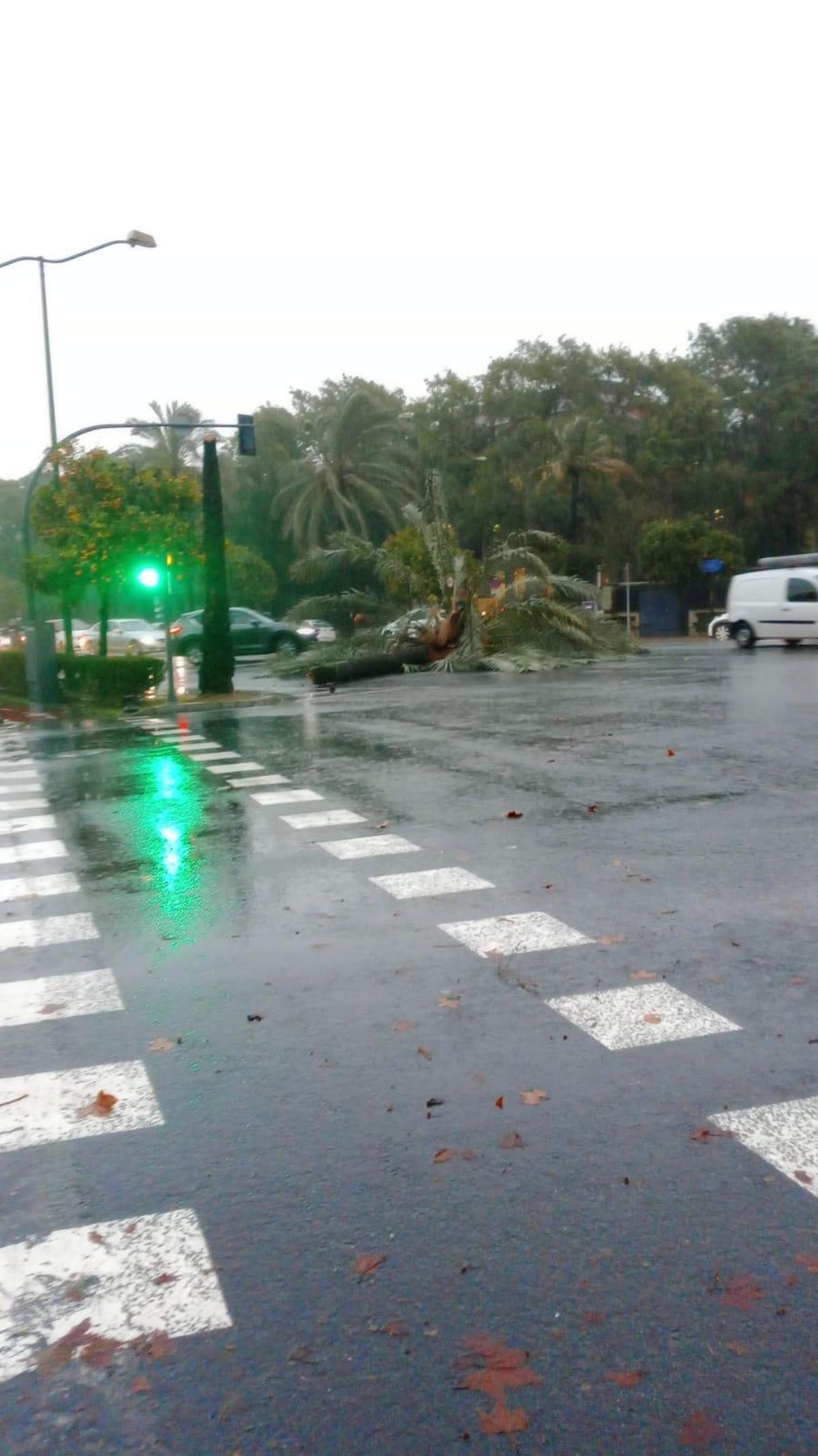 La Palmera y Enramadilla.