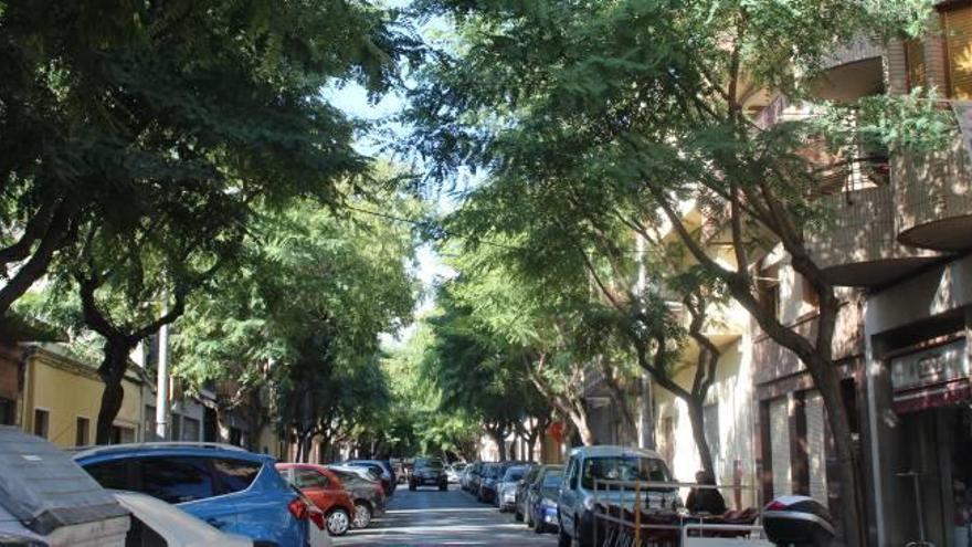Medio Ambiente defiende los árboles de copas grandes como los de la calle doctor Fleming.