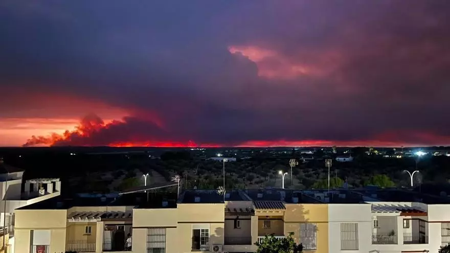 VÍDEO | Comunicado de la alcaldesa de Gerena sobre el incendio de Niebla