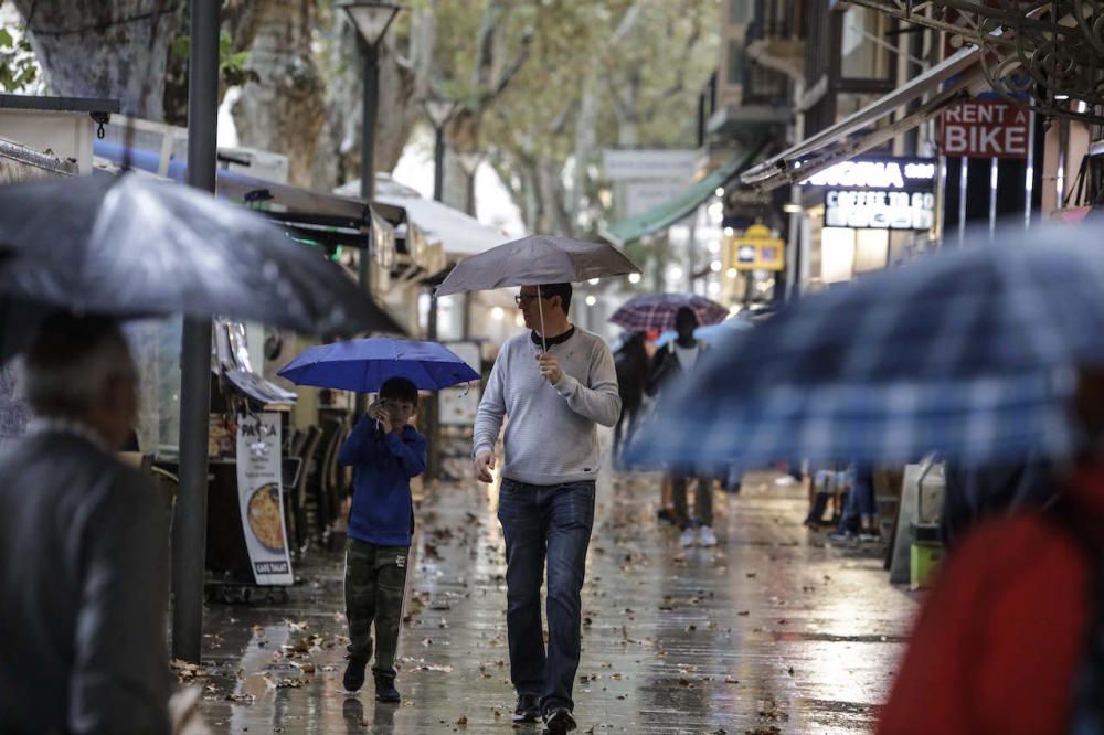 Regentag in Palma de Mallorca.