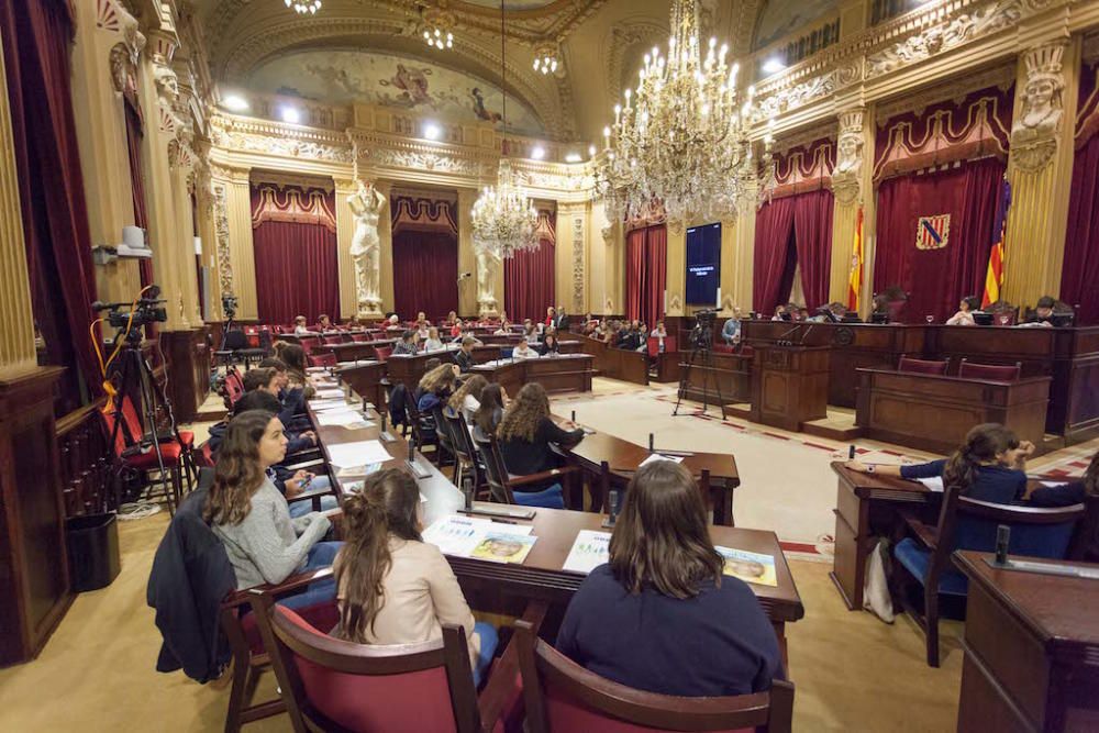 Los más jóvenes 'toman' el Parlament para luchar contra el cambio climático