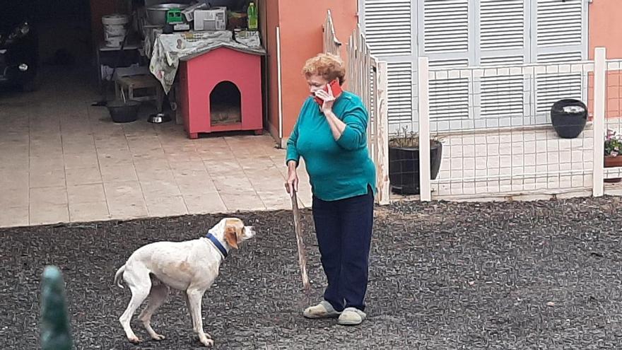 Francisca Llull, con su perro Ros, vecina del presunto autor del doble crimen de Manacor.