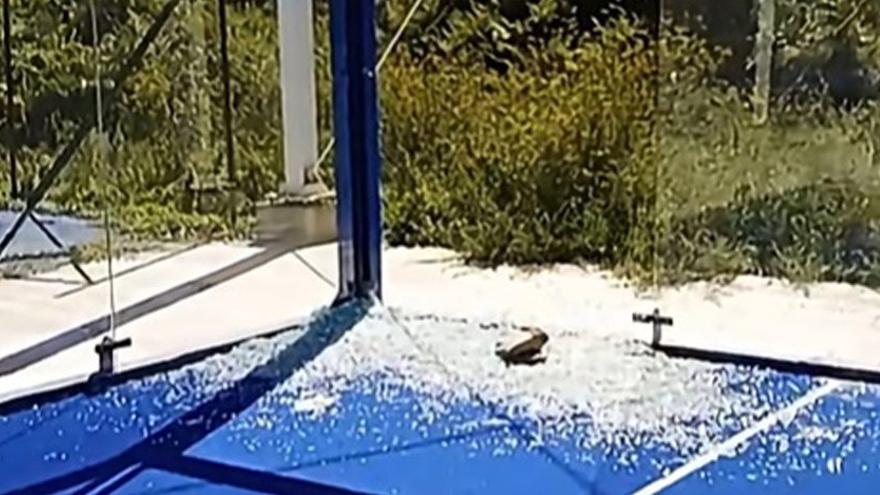 Causan graves destrozos en la pista de pádel de Ponte Caldelas antes de su estreno