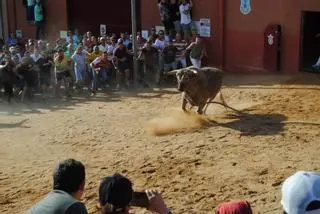 GALERÍA: La rápida carrera del torito de Benavente, en imágenes