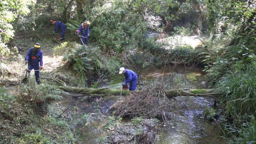 Las brigadas municipales de A Laracha limpian el río Acheiro