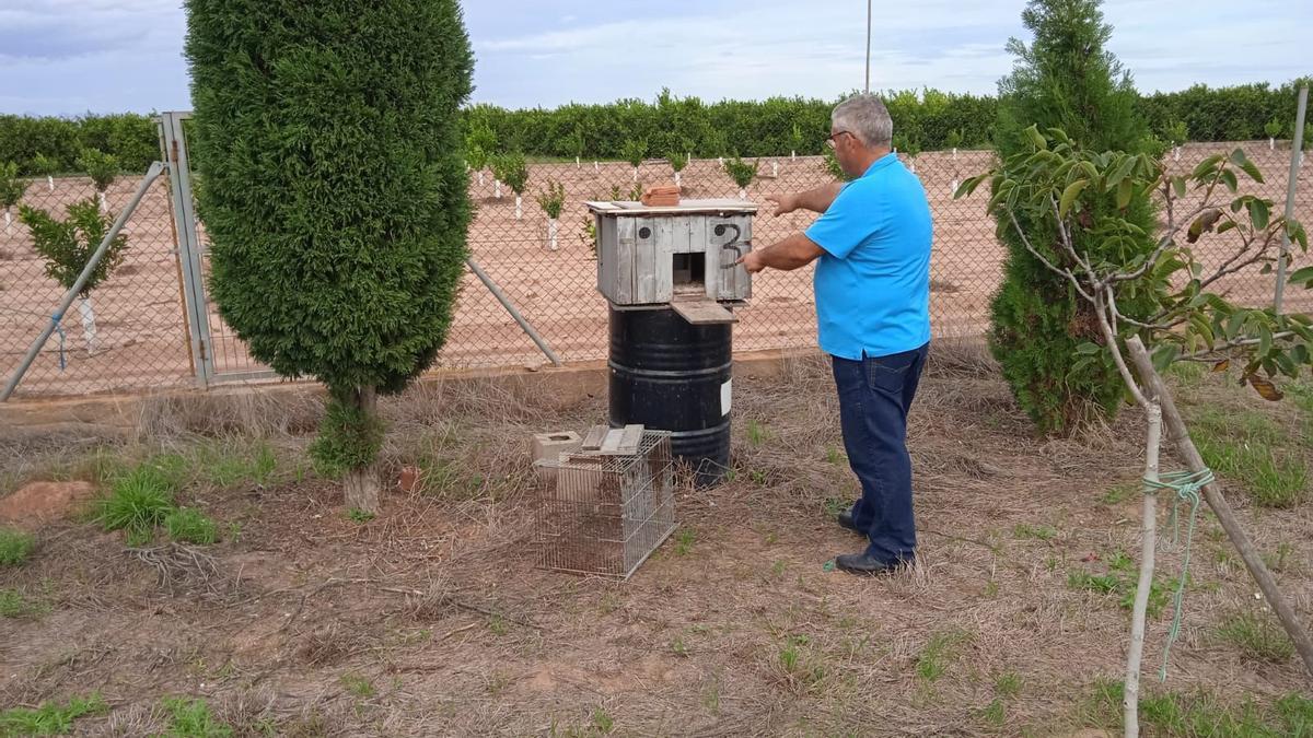 Un aficionado señala jaulas vacías donde tenían a sus palomas de competición, que han sido robadas recientemente.