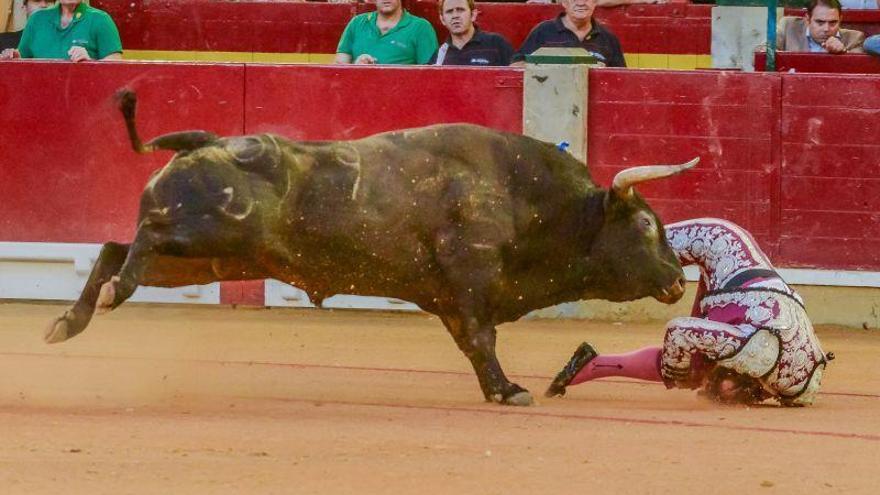 El banderillero Mariano de la Viña sufre una grave cornada en Zaragoza