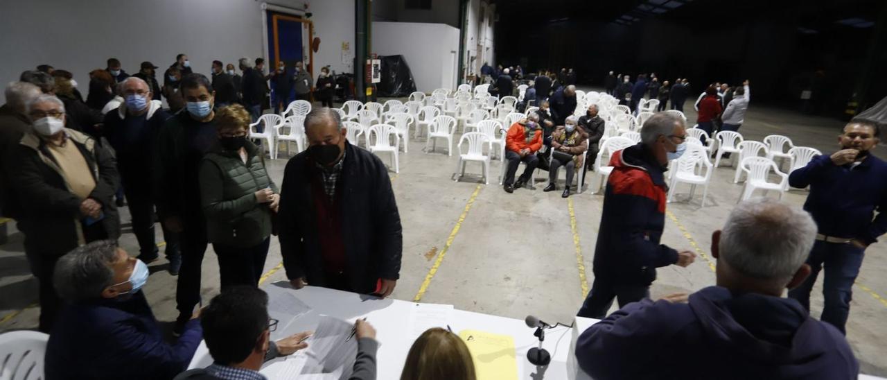 Cola de socios de la cooperativa de Alfarp en la votación celebrada en la tarde-noche de ayer. | PERALES IBORRA