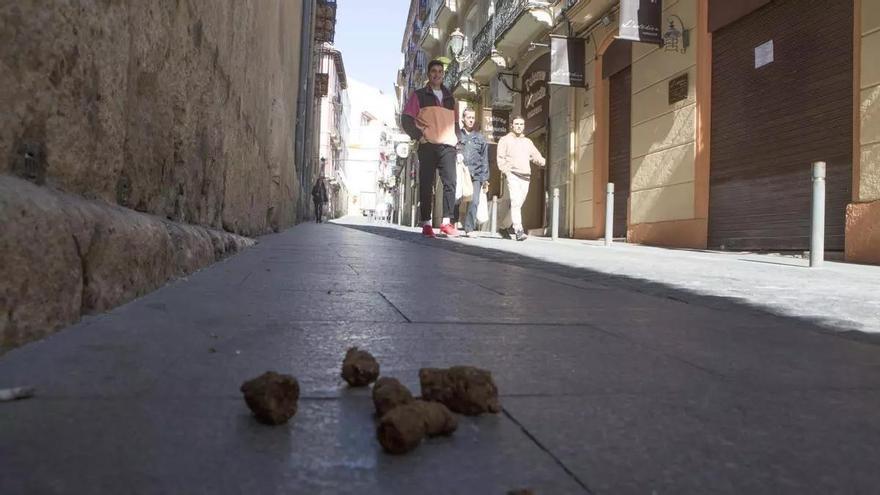 Multa de hasta 3.000 euros en Orihuela por no recoger las cacas de perro