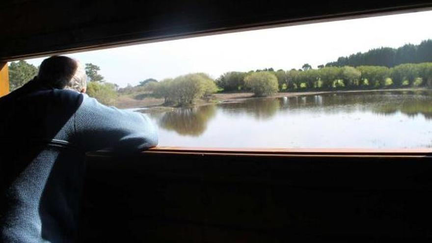 José Alejo observa la charca desde el interior del observatorio.