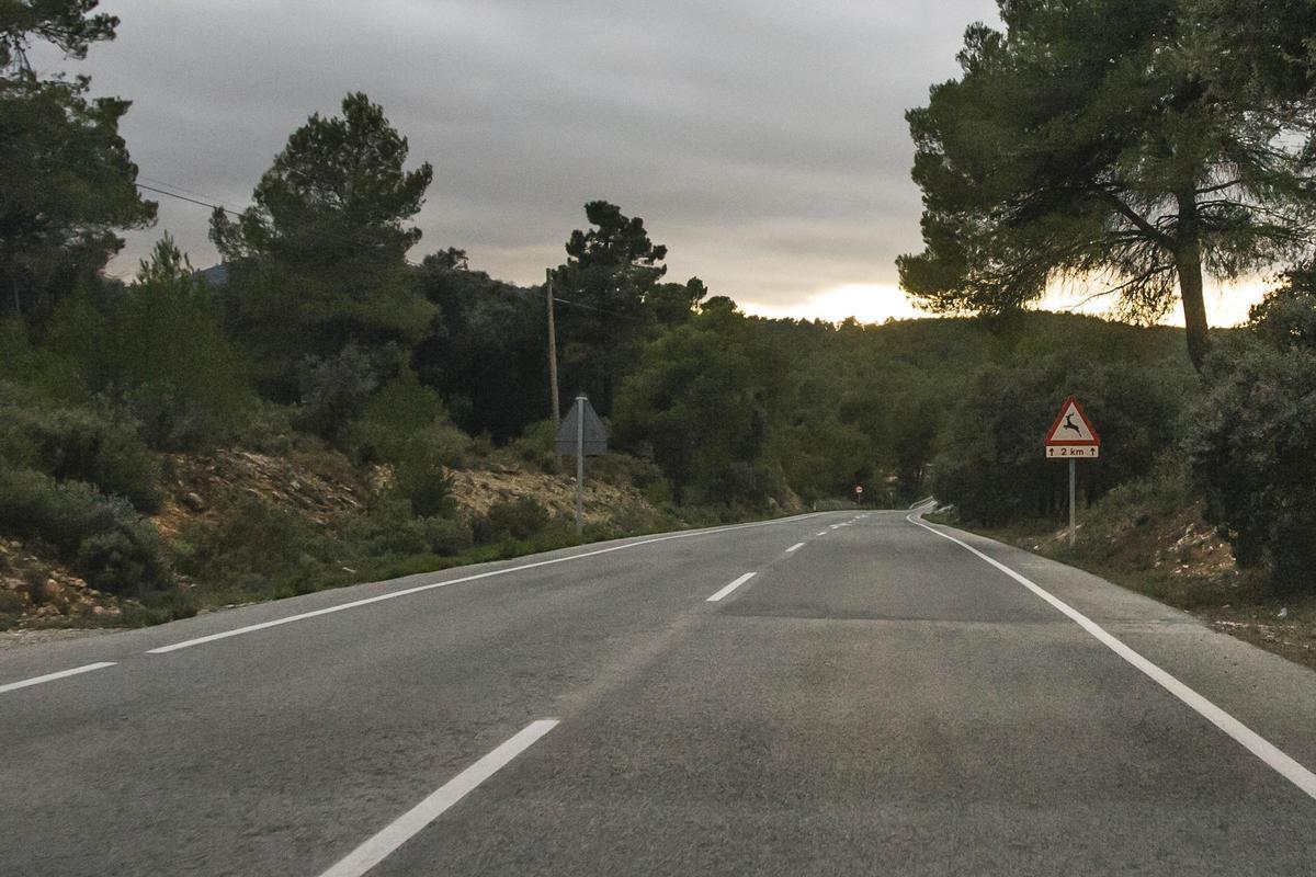 Tramo recto en la CV-795, la carretera de Alcoy a Banyeres, a última hora de la tarde.