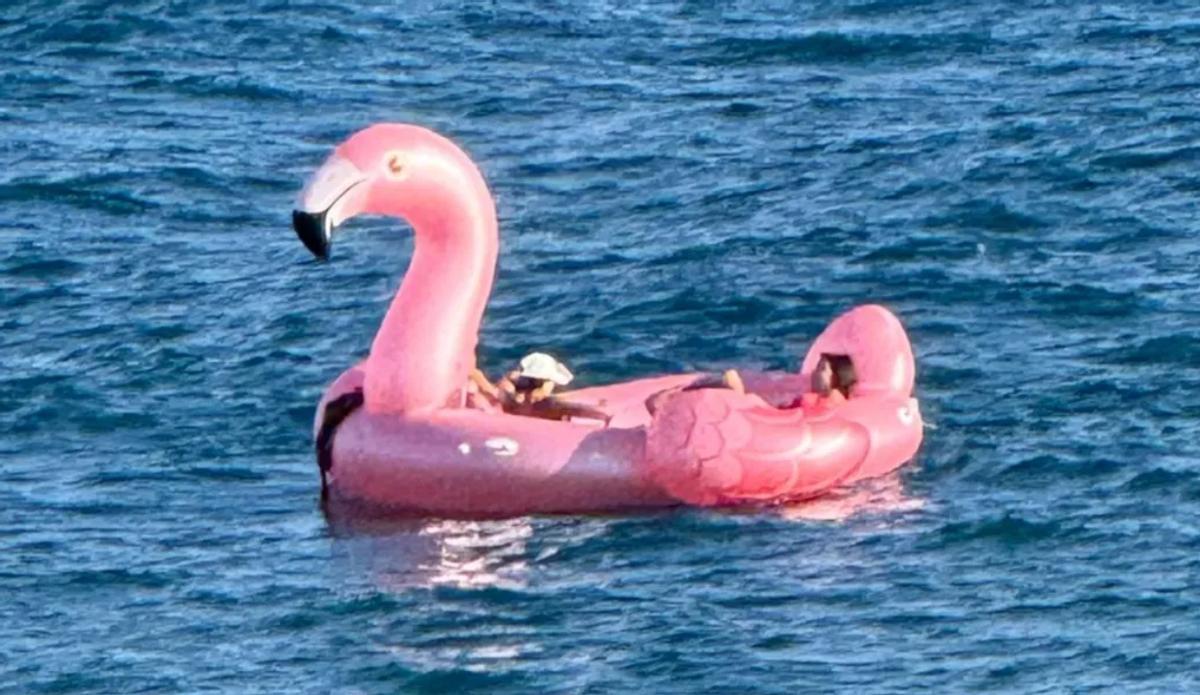 Flamenco gigante a la deriva en Gran Canaria: rescate y alerta por seguridad en el mar        Preguntar a ChatGPT