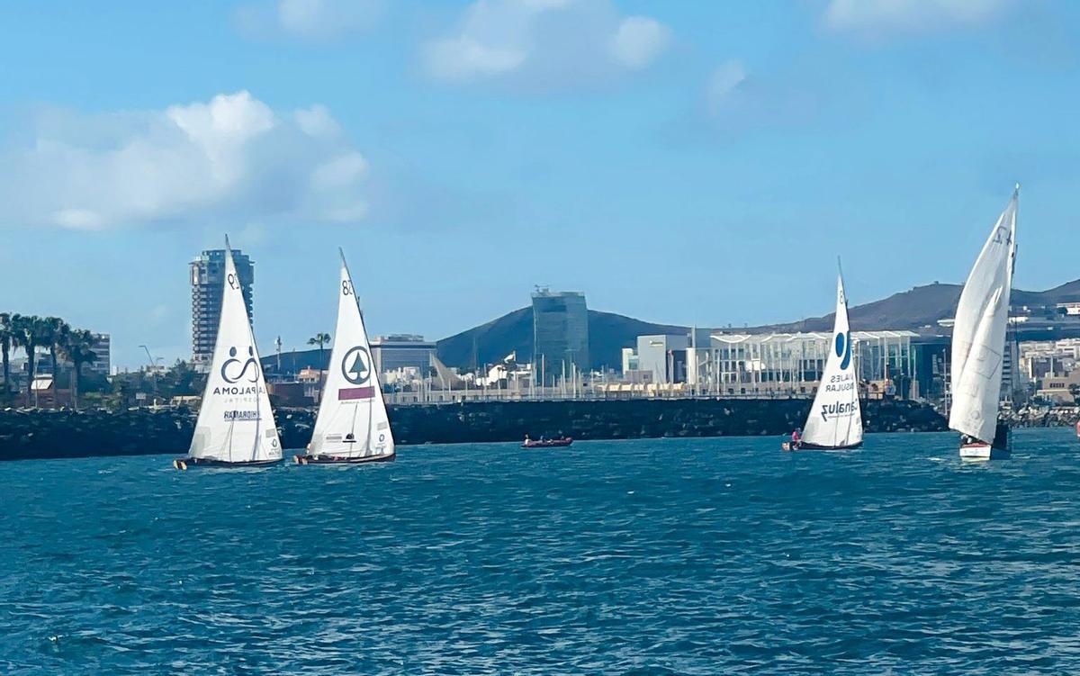 La Vela Latina Canaria celebra el Día de Canarias