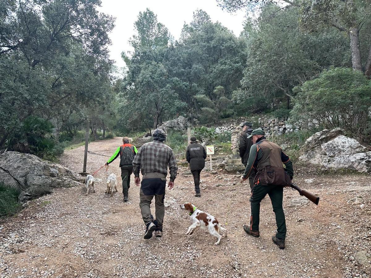 El Consell ha puesto en  marcha un plan piloto de actividades cinegéticas en las fincas públicas.
