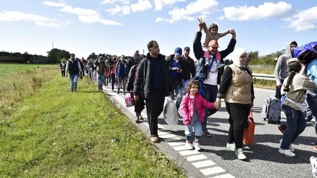 Un gran grupo de inmigrantes, sobretodo sirios, andan por una carretera en Dinamarca en dirección a Suecia, su destino.