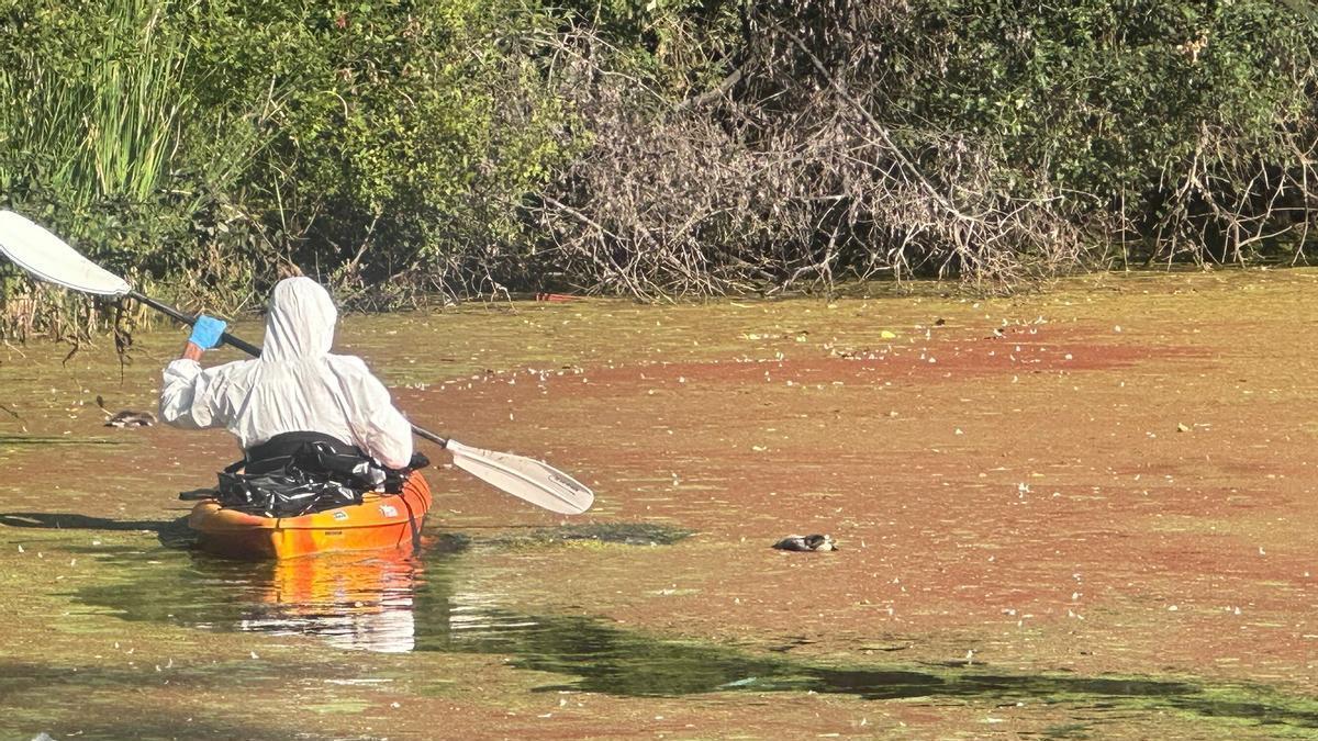 Trabajadores de Medio Ambiente, en la Lagoa de Massó, recogiendo muestras.