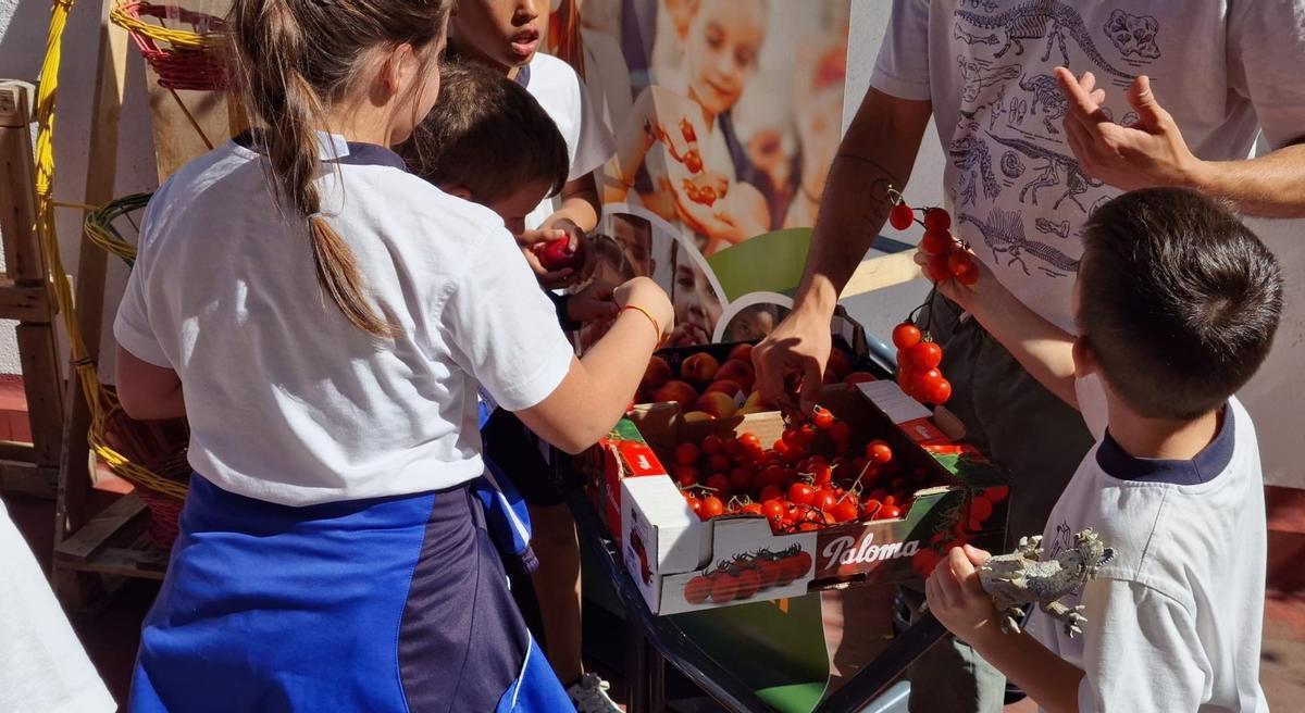 Alumnos del centro Patrocinio de Madrid prueban los tomates cherry cultivados en la Región.