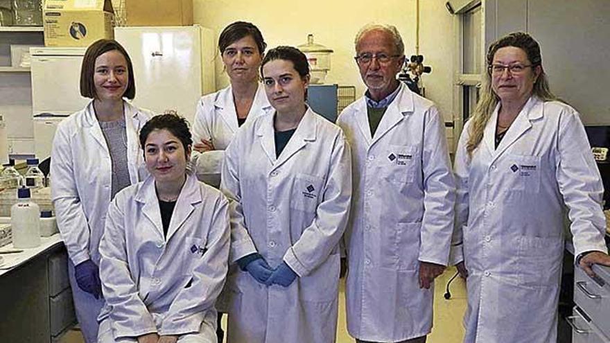 El fitato se ha investigado en el laboratorio de la UIB que dirige FÃ©lix Grases.