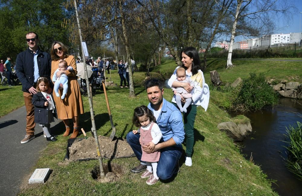 Día del árbol en Arteixo