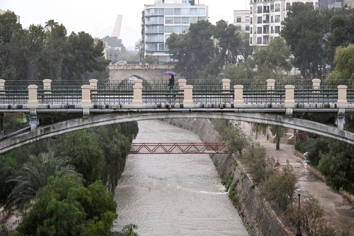 El río Vinalopó ocupaba todo el ancho del cauce a su paso por la ciudad de Elche