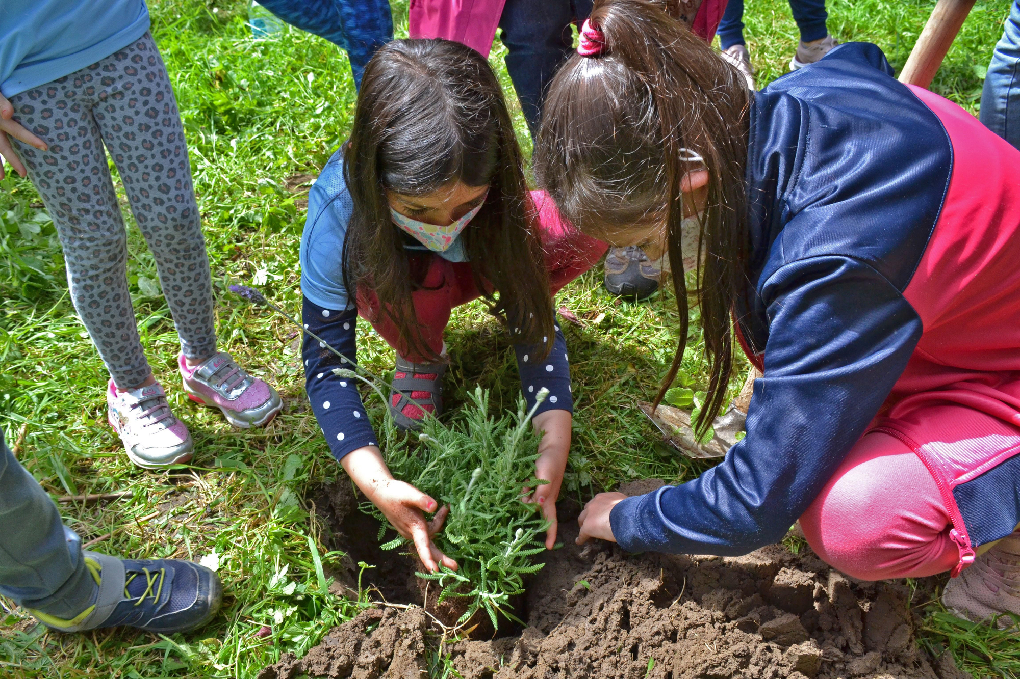 Las niñas Lucía Menéndez y Paz Suárez plantando en la zona del hotel para insectos.