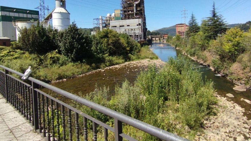 El río Nalón a su paso junto a la térmica de Lada. | M. Á. G.