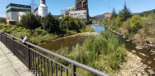 El plan de recuperación del río Nalón en Lada incluirá la plantación de 3.000 árboles