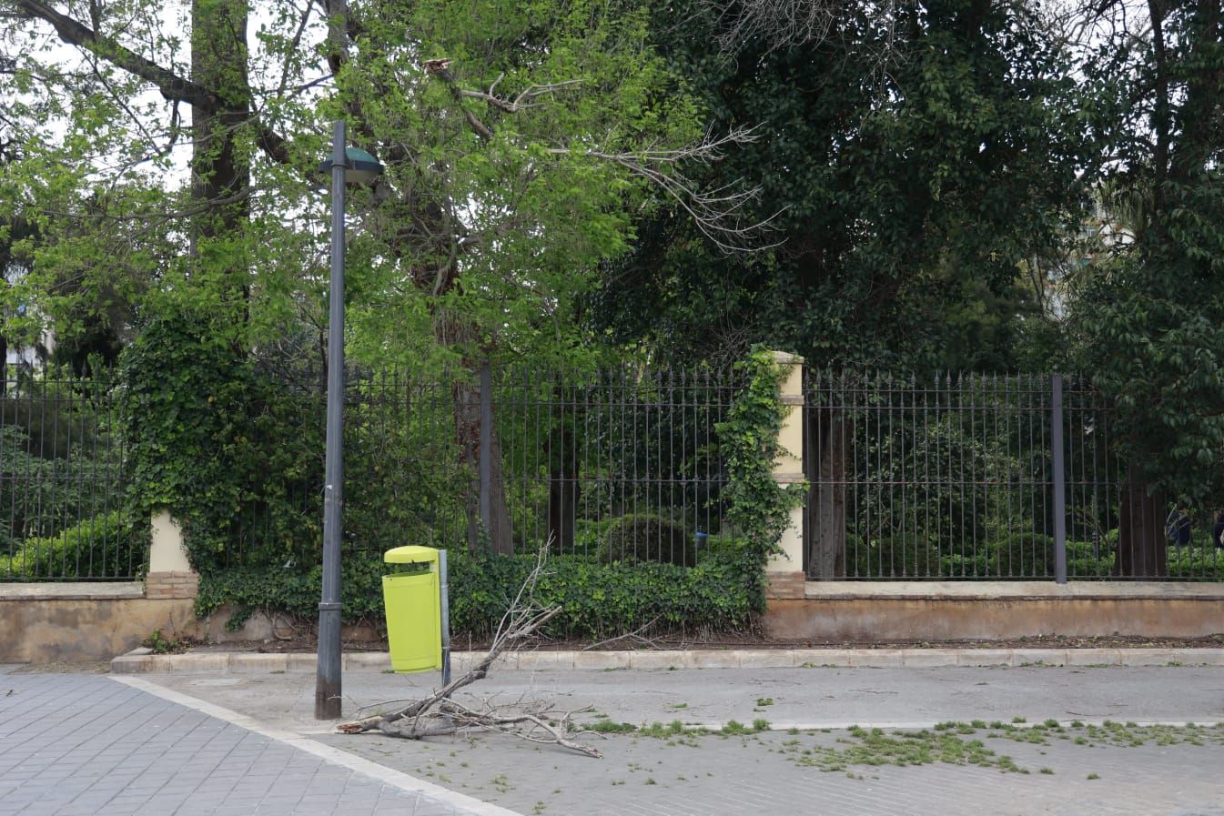 El viento causa destrozos en la ciudad de València