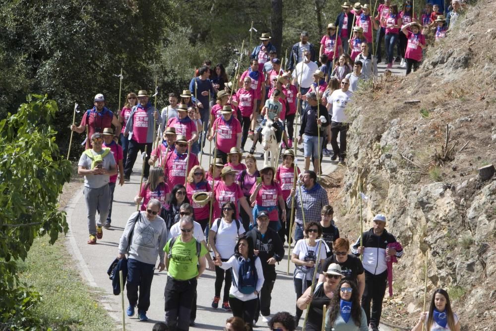 Romería a la ermita de Santa Anna de la Llosa de Ranes