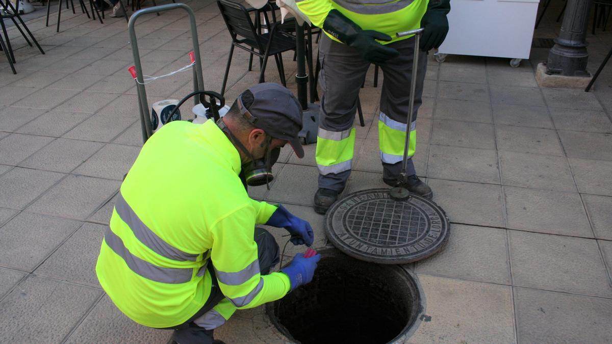 Uno de los equipos de control de plagas realiza un tratamiento en un saneamiento de la calle Rebolloso esquina con Ramón Arcas Meca.