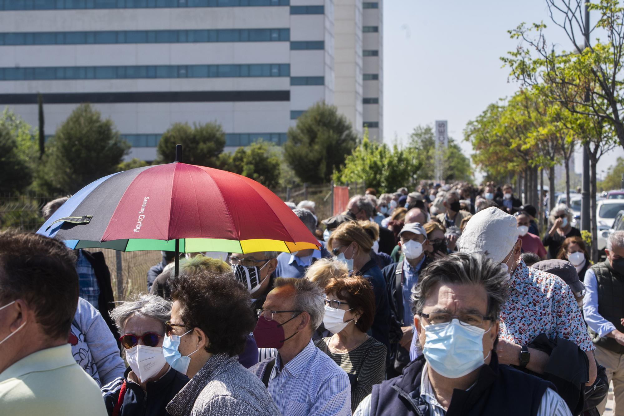 Largas colas al sol para vacunarse contra la COVID-19 en el hospital de campaña de La Fe