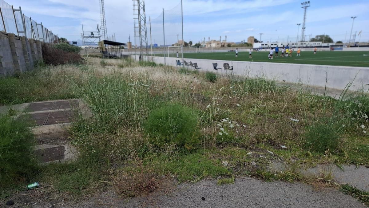 Fotografía publicada por el Rotlet Molinar en sus redes sociales del estado de su campo
